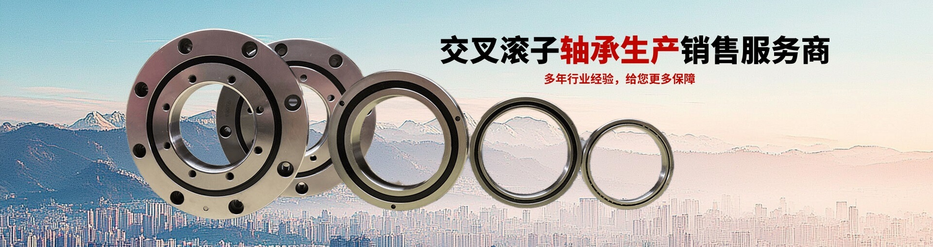 外齒式交叉滾子轉(zhuǎn)盤軸承